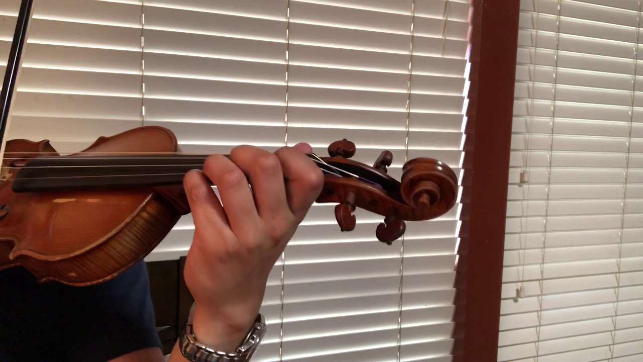 Motivos violín mariachi Vargas