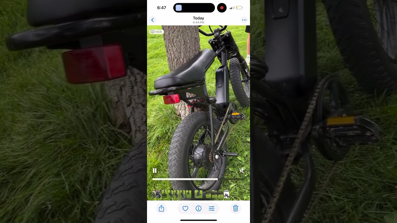 Pedal gang