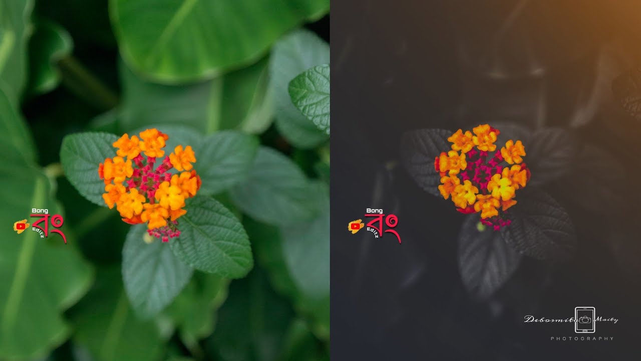 How to edit Moody Dark tone in Lightroom | Moody Dark tone | Lightroom mobile Editing