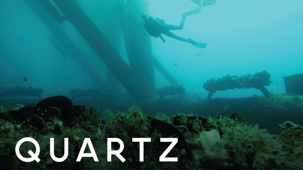 Farms under the sea could feed the world in 2050