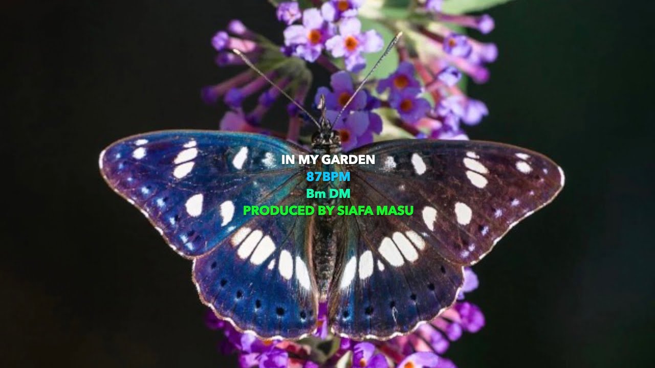 IN MY GARDEN (prod. by SIAFA MASU)