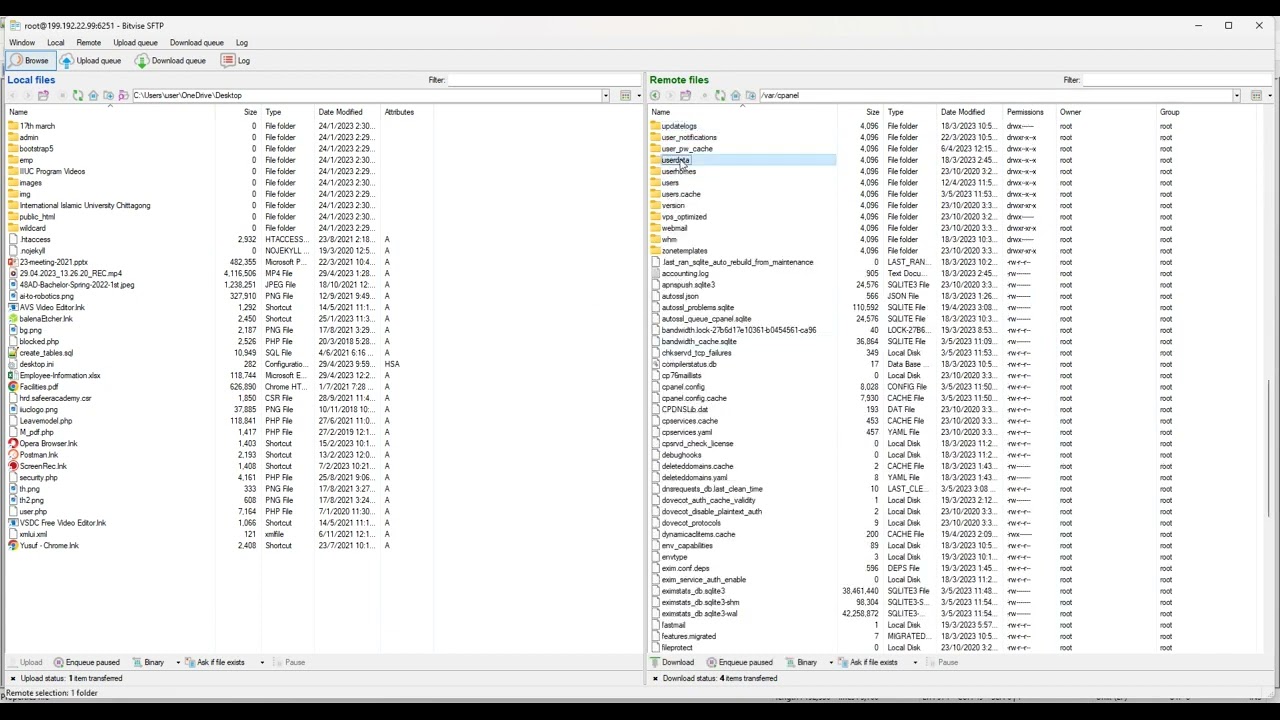 WHM/cPanel Document Root Change for CodeIgniter 4 Framework