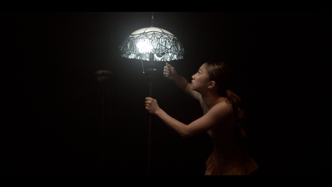 The Light We Carry