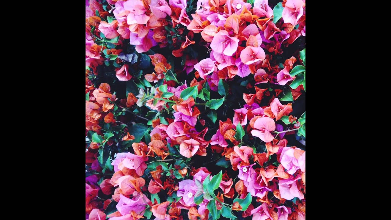 brightener // When I'm Not Around (Audio)