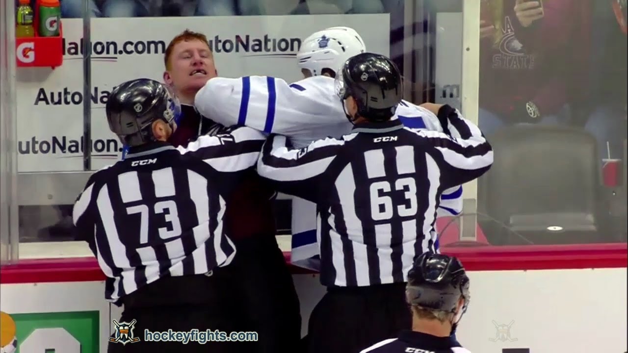 Matt Martin vs Cody McLeod Dec 22, 2016