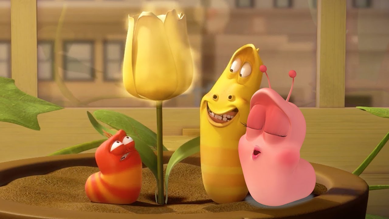 LARVA - MEETING PINK | Cartoons | Comics | LARVA Official