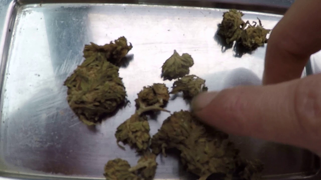 JE TESTE LE CBD CANNABIS LEGAL EN FRANCE POUR VOUS (LIEN EN DESCRIPTION)