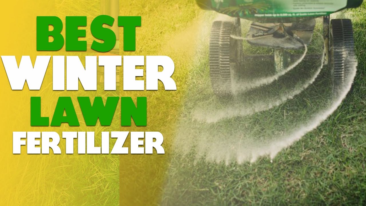 Лучшее удобрение для зимнего газона: подробный список (наши лучшие варианты)