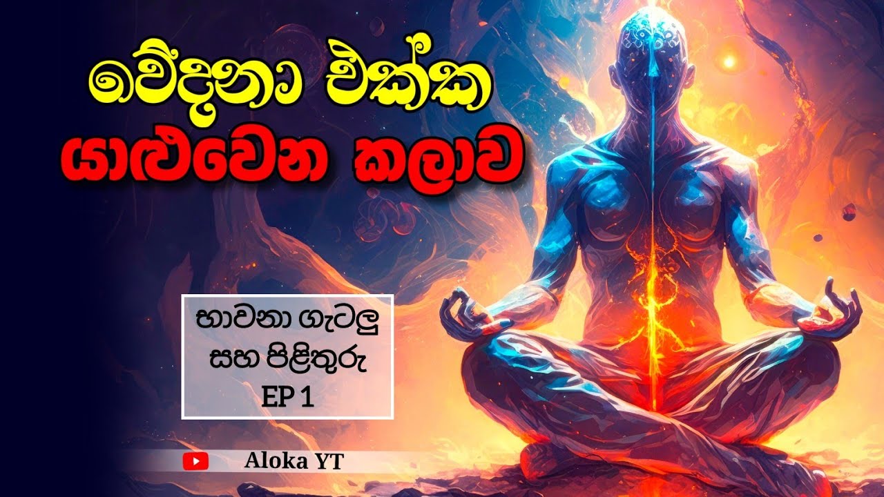 භාවනාවේදී ඇතිවන වේදනා වලට විසඳුම | meditation techniques EP01 | aloka