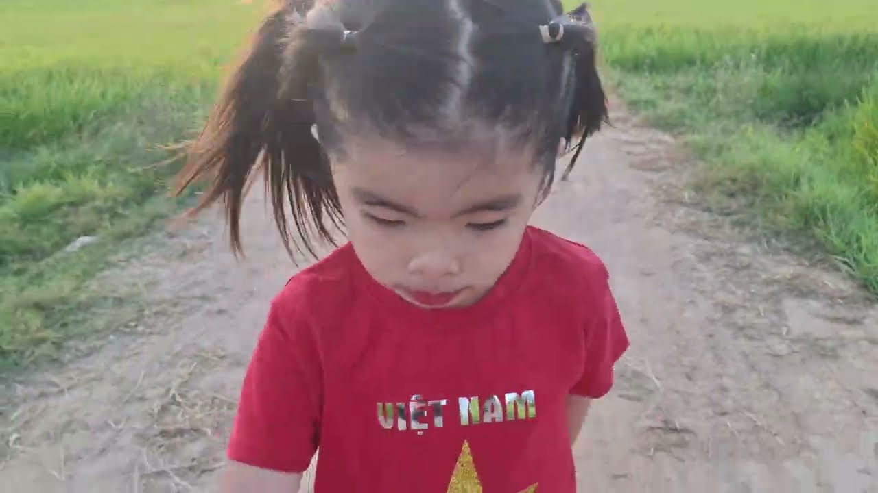 Hái lộc đầu năm.