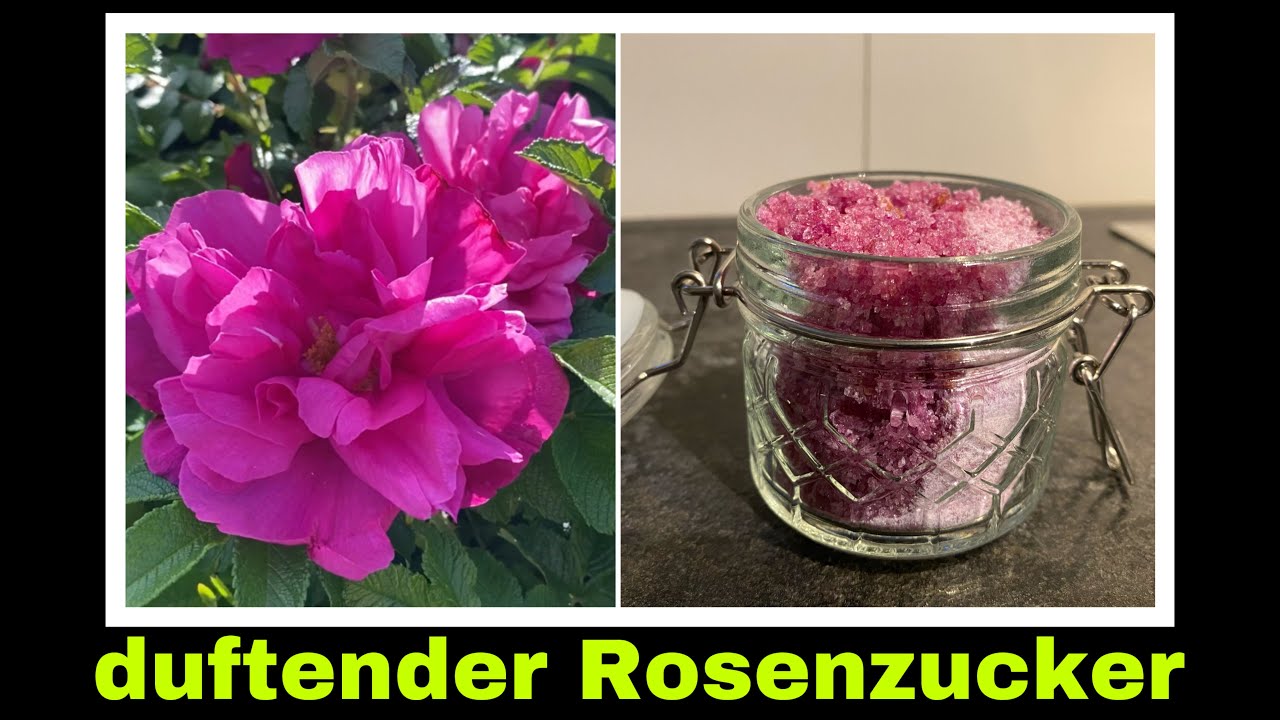 Rosenblütenzucker Rezept | Rosenzucker aus Rosenblüten selber machen | Selbstversorgung