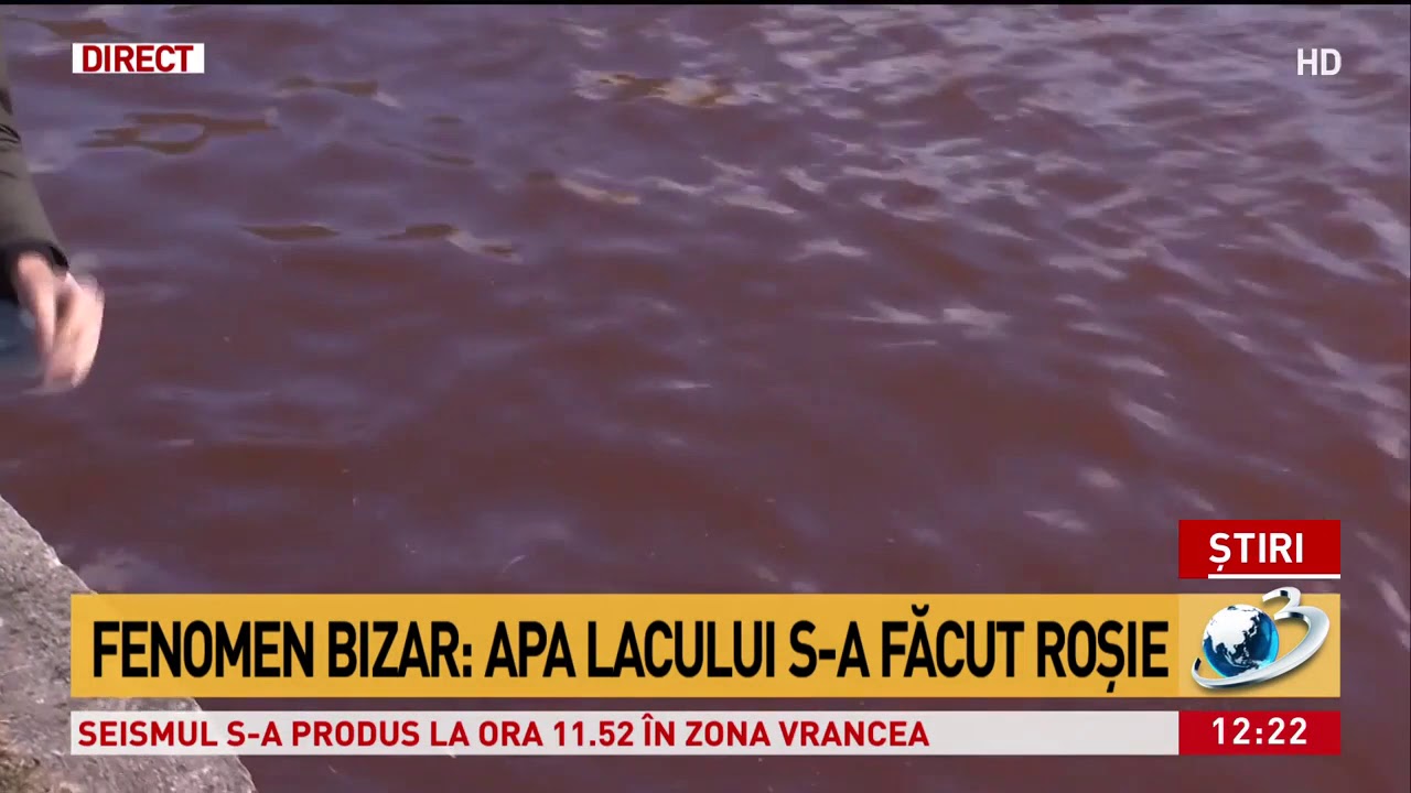 Fenomen bizar în Parcul IOR din Capitală! Apa lacului s-a făcut roșie