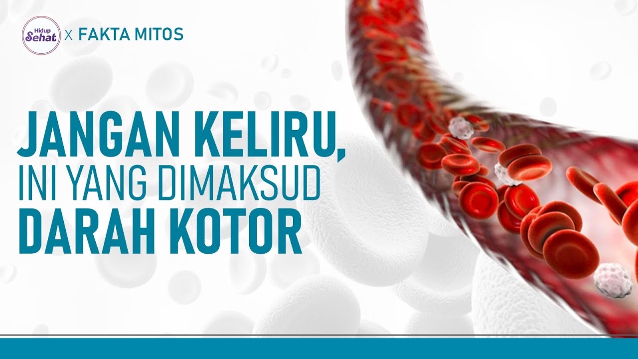 Hal yang Harus Diketahui Sebelum Donor Darah | Hidup Sehat tvOne