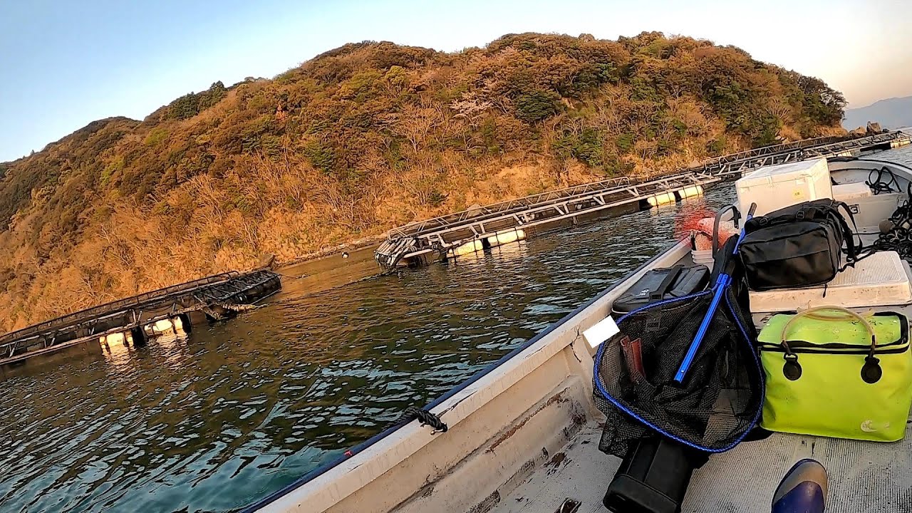 水深20mの養殖イケス横でロクマル狙ってみたら… 【夢のロクマル #2】