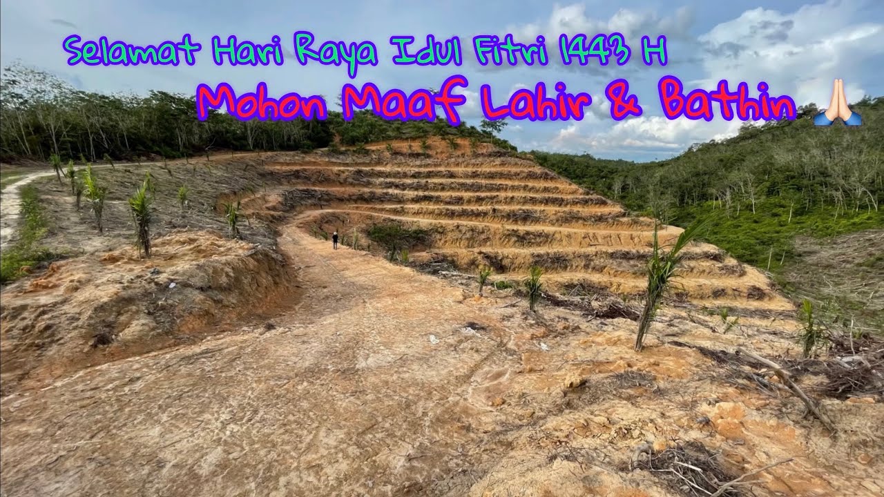 Sistim Titik Tanam Kelapa Sawit Pada Lahan Terasering Kontur