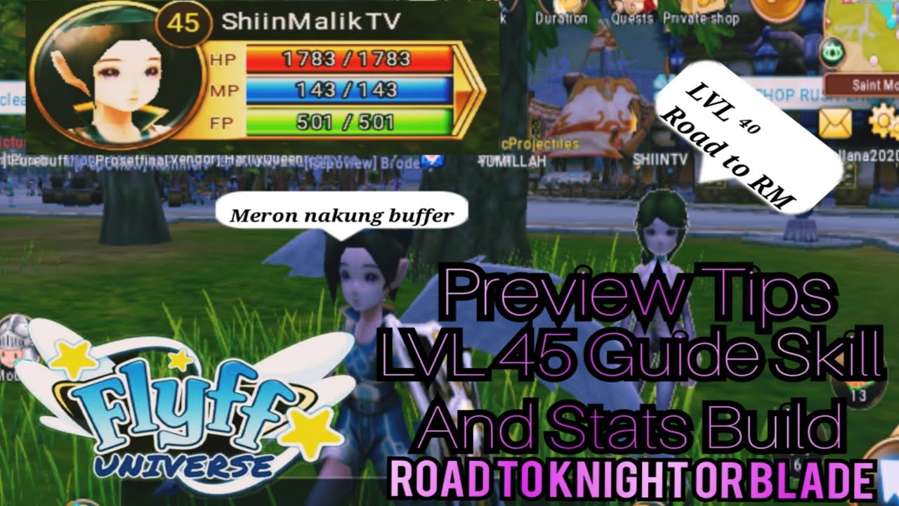 Flyff universe | Mercenary Skill and Build | Road to LvL60