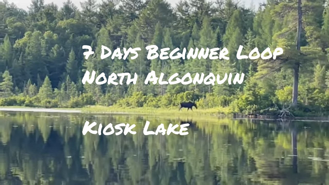 7 days in North Algonquin - Kiosk Lake to Big Thunder to Mink - A Beginner Loop