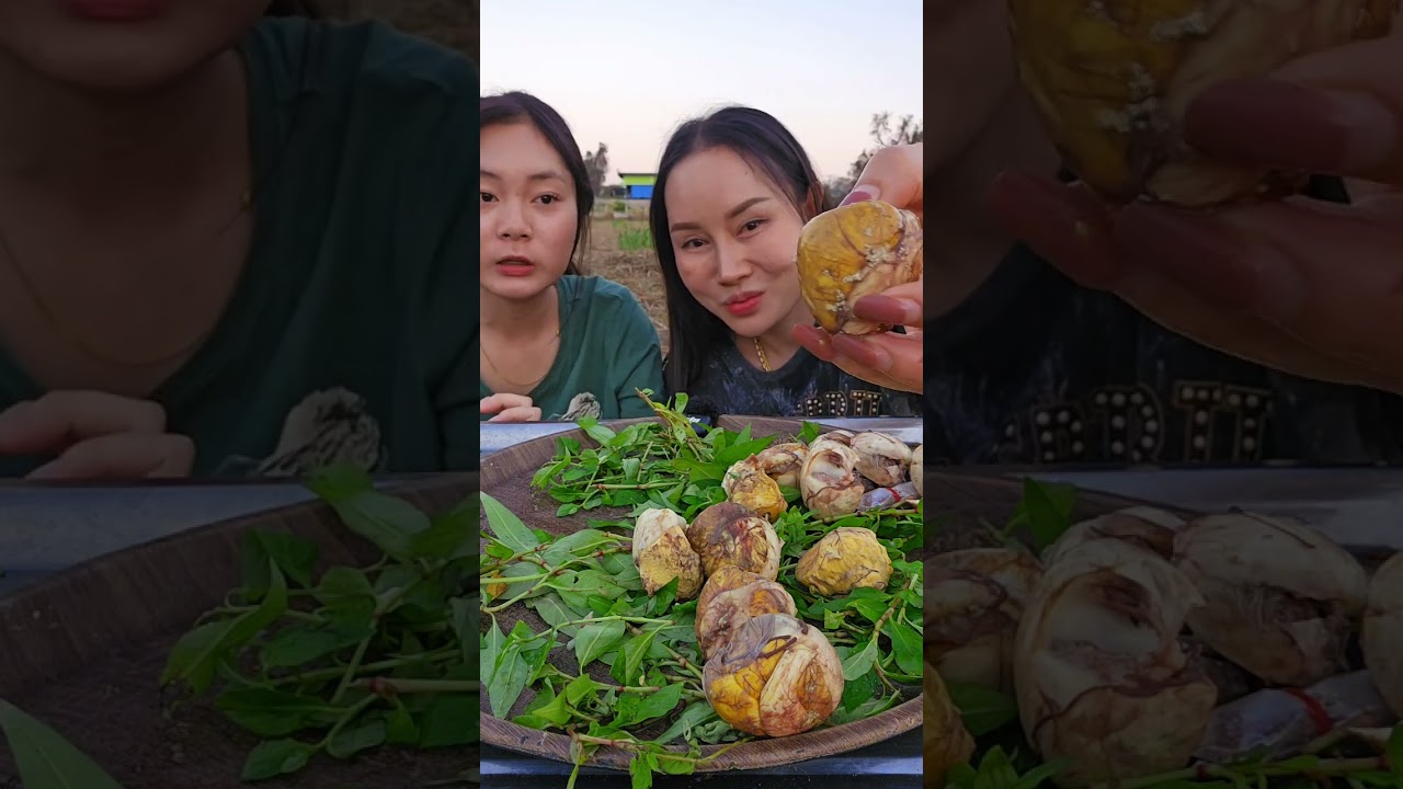 ไข่ลูกเป็ดเวียดนาม ระยะสองแซ่บหลาย
