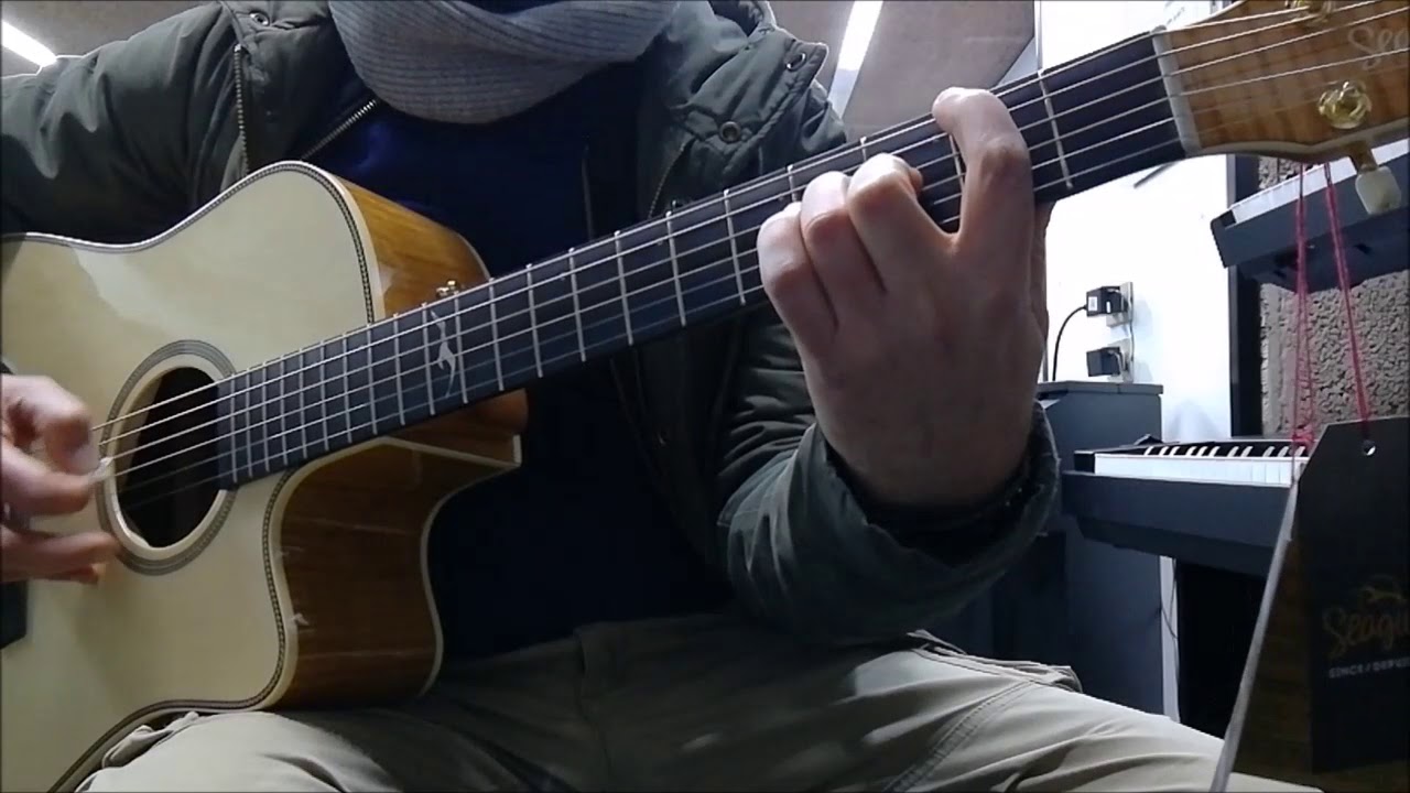 Seagull Artist Cameo CW Element demo by Luis