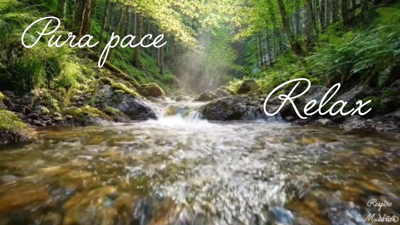 Solo tu e la Natura: Un Momento di pura pace. 🙏🧘‍♂️