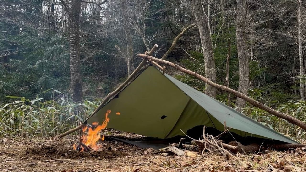 [Solo Camping] Overnight in the Forest Where Spring Has Begun , Tarp Shelter , Bushcraft