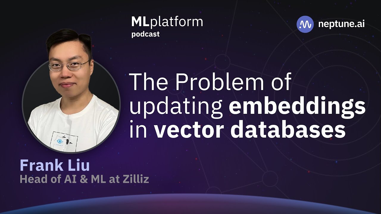 The Problem of Updating Embeddings in Vector Databases