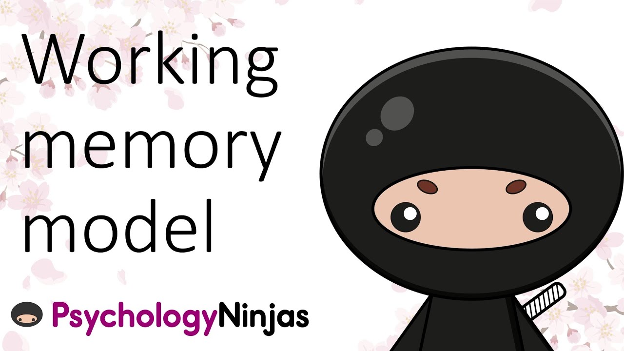 Working Memory Model