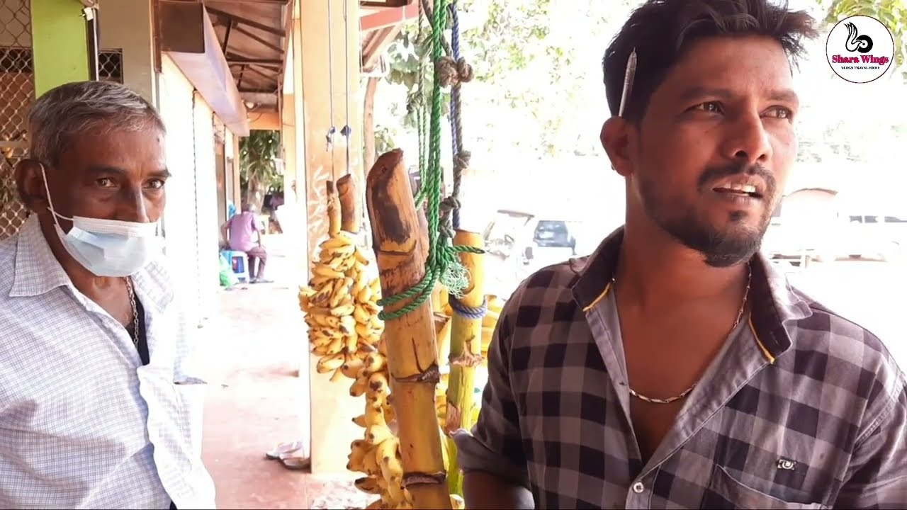 Kilinochchi Market 🍇 | கிளிநொச்சி சந்தை 🥝 | Shara Wings