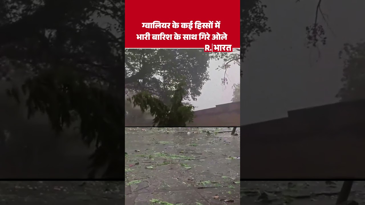 MP News: Gwalior के कई हिस्सों में भारी बारिश के साथ गिरे ओले । R Bharat #shorts