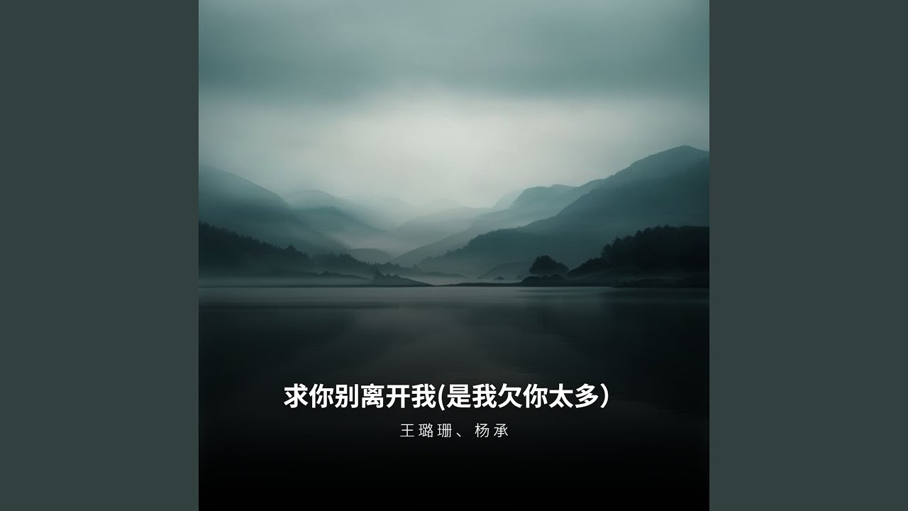 求你别离开我（是我欠你太多）
