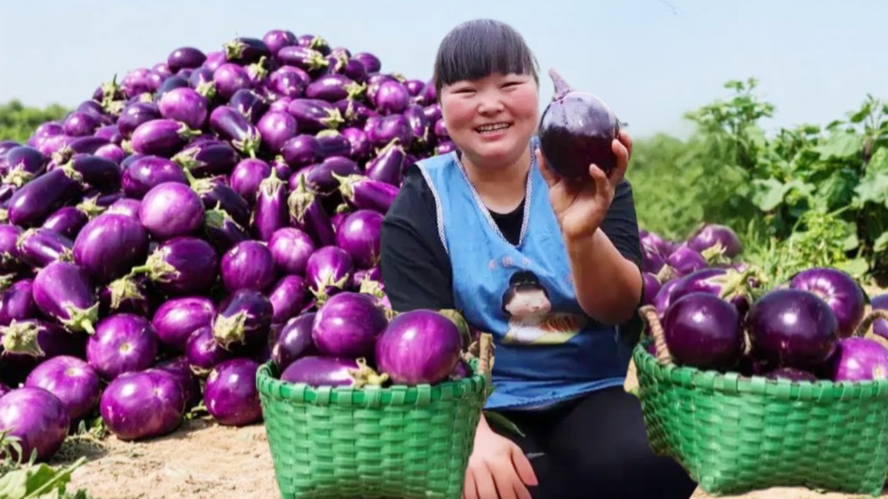 【陕北霞姐】家里的茄子多的吃不完，霞姐自创新做法&ldquo;肉沫蒸茄子&rdquo;，茄子软烂混着肉香太美了！