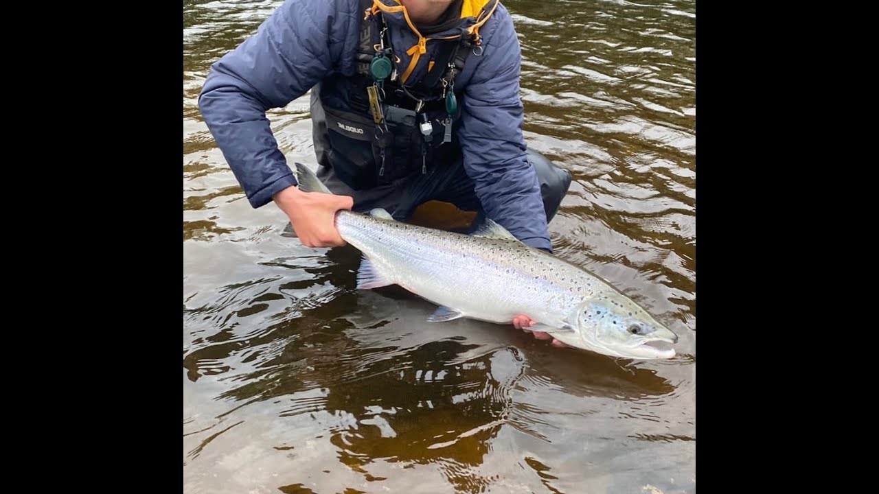 My Approach To Fly Fishing For Salmon. This cast helps catch more fish!