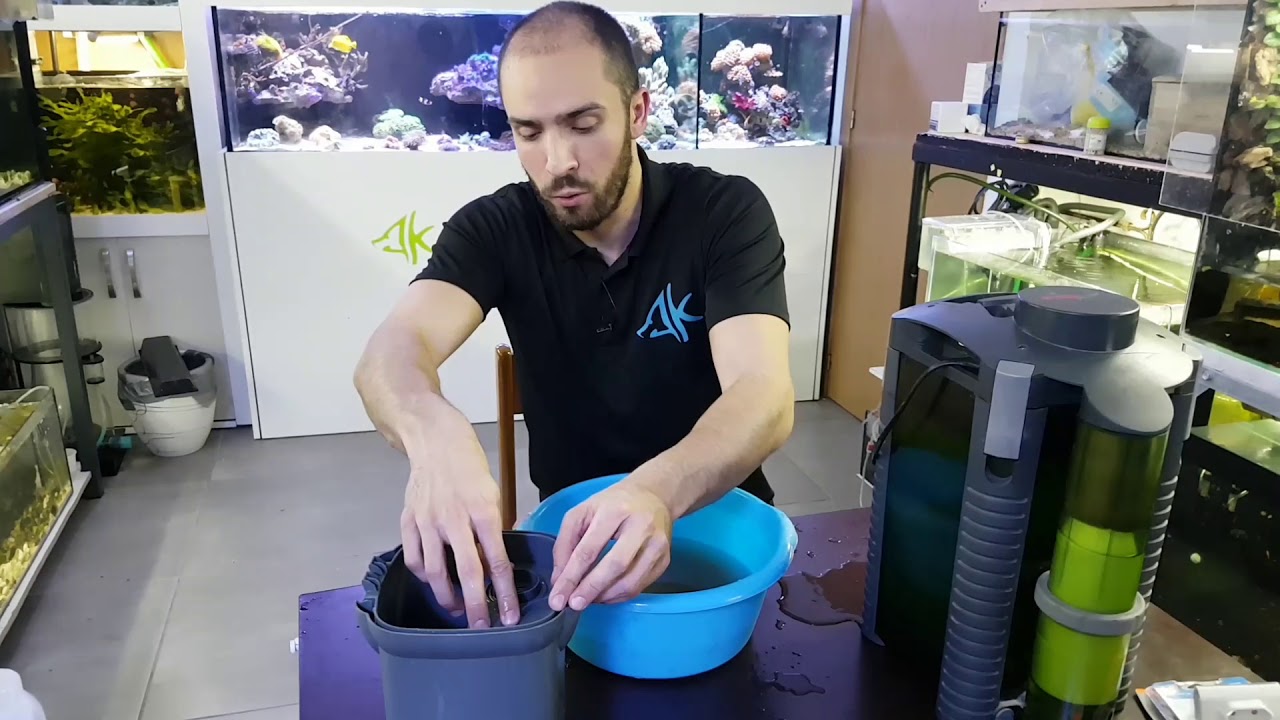 Limpieza de filtros de acuario / ¿Como limpiar el filtro de un acuario?