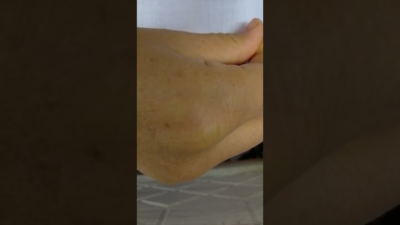 ۲۹ نوامبر ۲۰۲۵