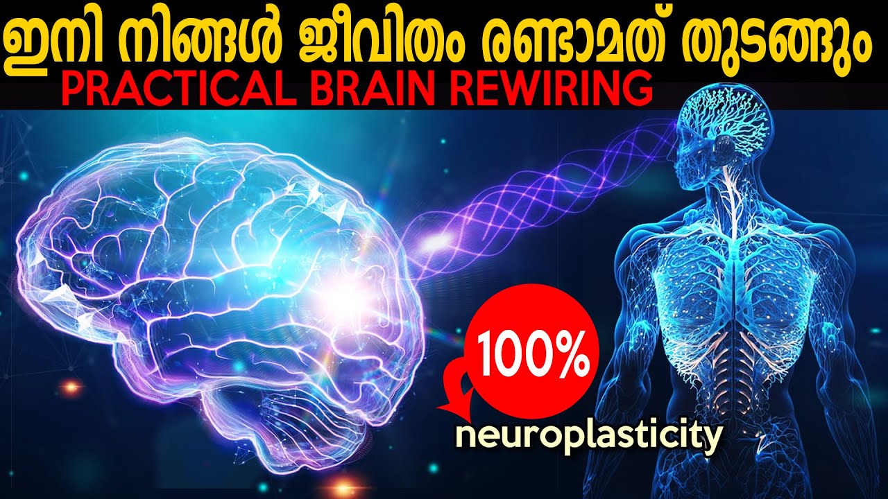 IMPORTANT!! മനസിനെ എങ്ങനെ വേണമെങ്കിലും മെരുക്കാൻ 4 സ്റ്റെപ്‌സ്  BRAIN REWIRING - LIFE CHANGING IDEAS