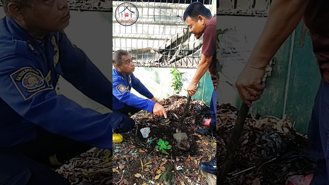 TANAM POHON KEINDAHAN KANTOR #damkarciledug #pemadamhits #tangerangayo