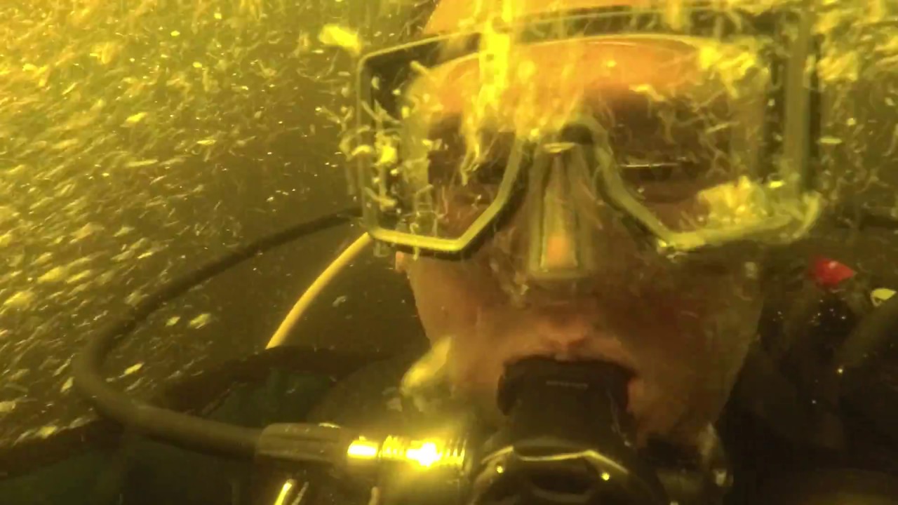 Ascending from the dark deep part of Hudson Grotto during the UF Scientific Diving Training