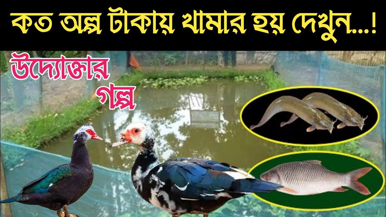 অনেক কম টাকা ও জায়গায় খামার শুরু করা যায় || অল্প টাকার ব্যবসা বা খামার / Business idea // বংশীএগ্রো