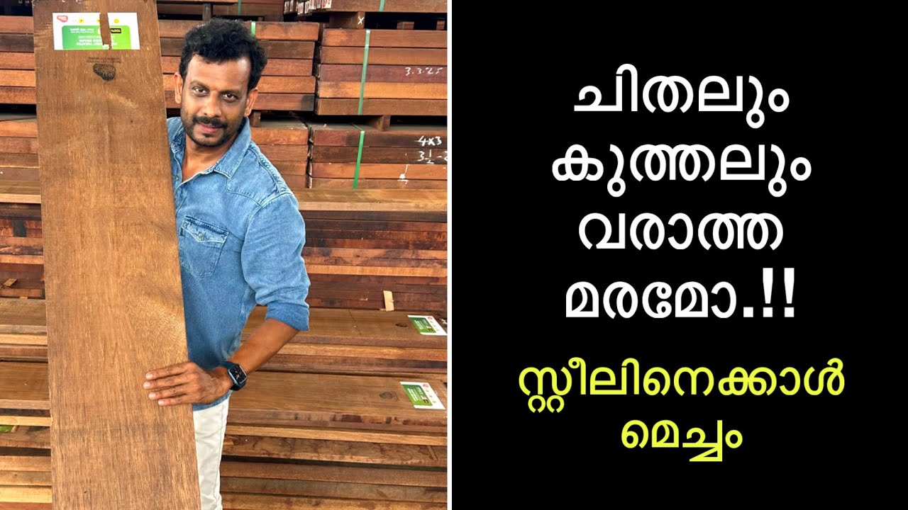 ചിതലും കുത്തലും വരാത്ത മരമോ.!! ഇത് വെറും വാക്കല്ല രേഖ മൂലം സംഭവം സ്റ്റീലിനെക്കാൾ മെച്ചം | Hill Wood