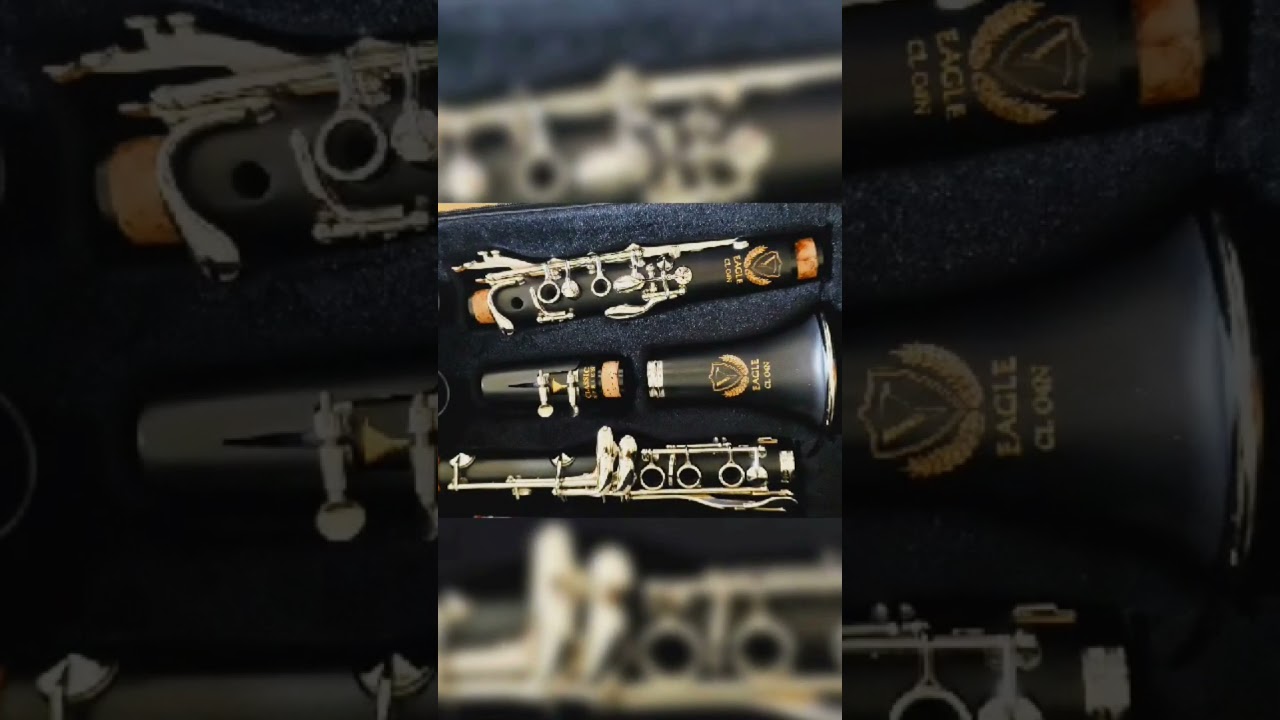 Clarinete Eagle Cl04 ' Nova ( &agrave; Venda )
