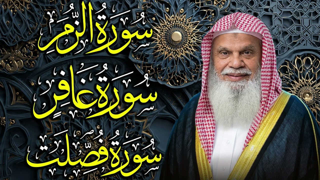 سور الزمر وغافر وفصلت | تلاوة خاشعة بصوت الشيخ علي الحذيفي تلامس القلوب وتبعث السكينة