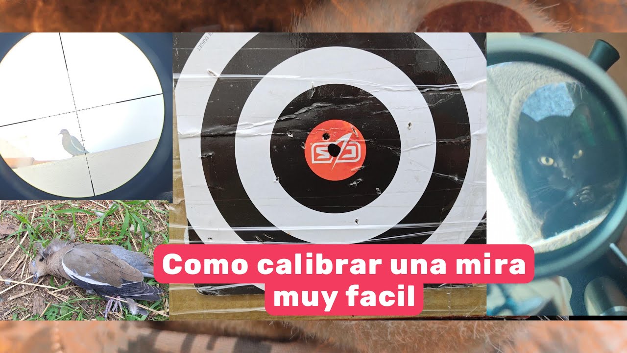 Como calibrar y montar una mira de rifle 5.5