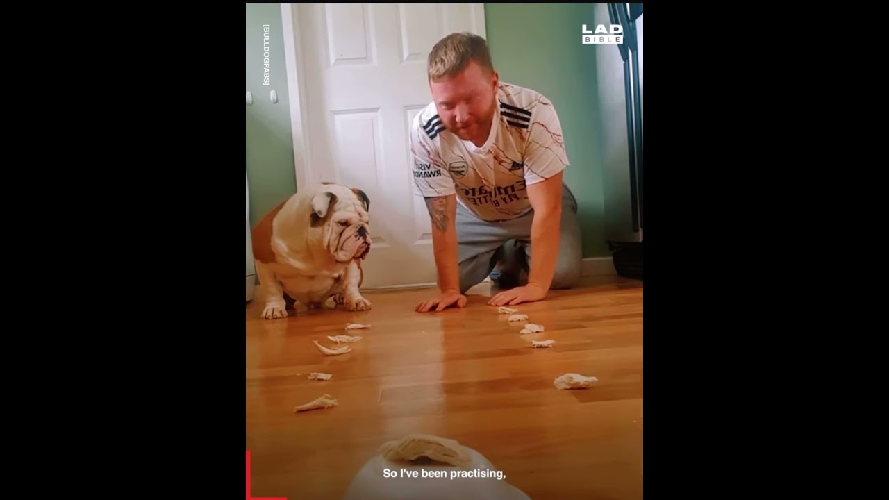 Bulldog VZ Human food race