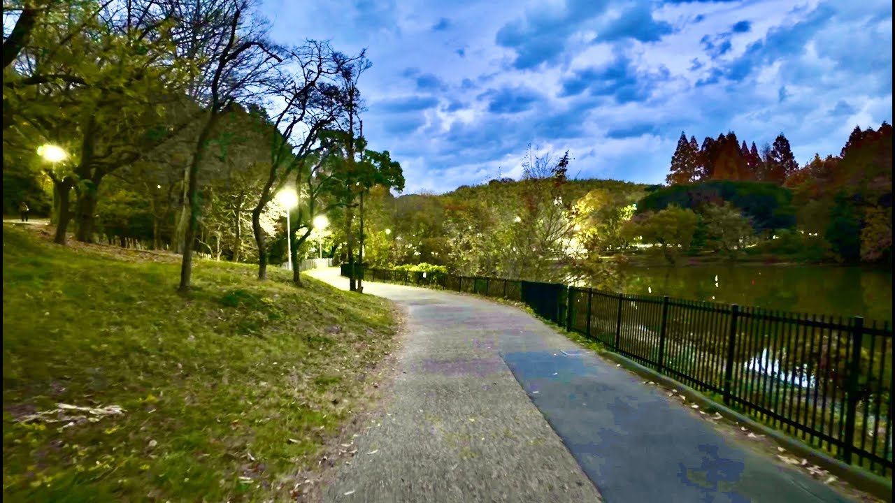JAPAN Walk｜Hattori Ryokuchi Park, Osaka 4K