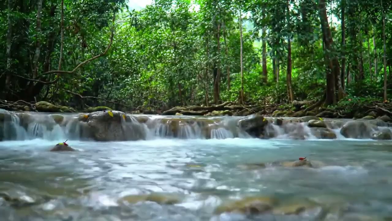 Productive Stream Sounds 📚 | Calm Nature Ambience for Deep Work, White Noise for Relaxation
