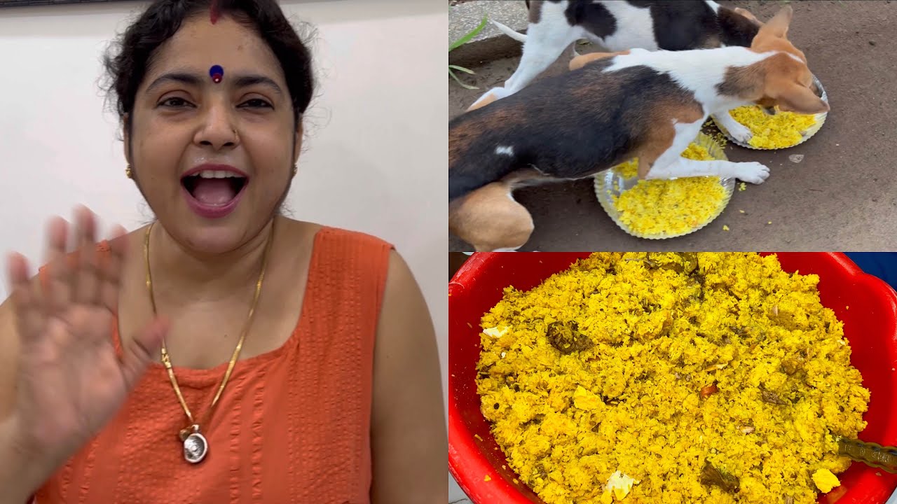 LADDU K TARAF SE AAJ SUBKO PARTY 🎉🎉🎉 FEEDING STREET DOGS ❤️