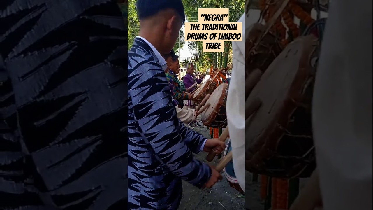 &ldquo;Negra &ndash; Traditional Limboo Drum 🥁 | Chasok Tongnam Festival 2024 🎶✨ #Shorts&rdquo;