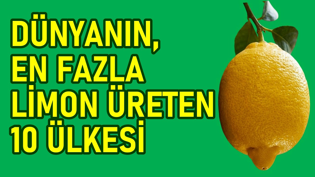Dünyanın, En Fazla Limon Üreten 10 Ülkesi! Türkiye Kaçıncı Sırada