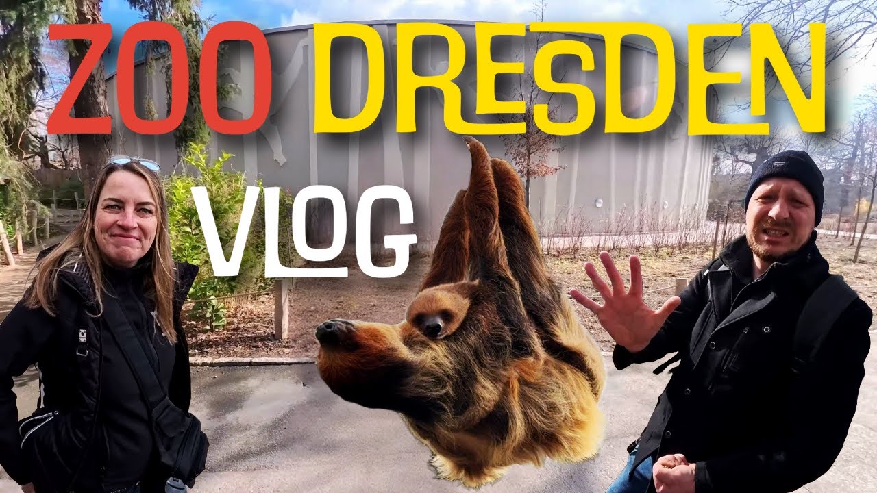 🎥🦁 Begleitet uns in den Zoo Dresden &ndash; Faultierbaby, Orang-Utan-Haus & tierische Begegnungen! 🦥🐒