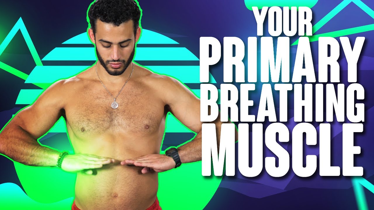 How to Treat, Massage, Stretch & Strengthen Your Diaphragm Muscle (breathing muscle)